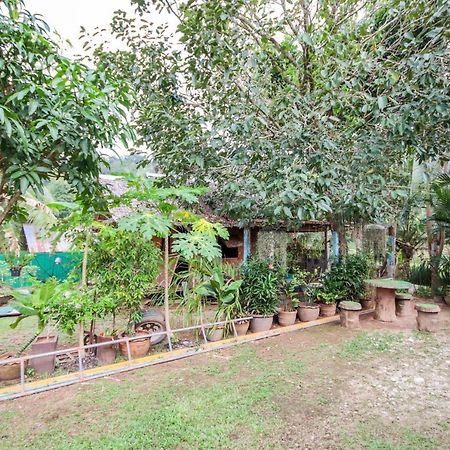 Oyo 75312 Banana Lodge Khao Lak Luaran gambar